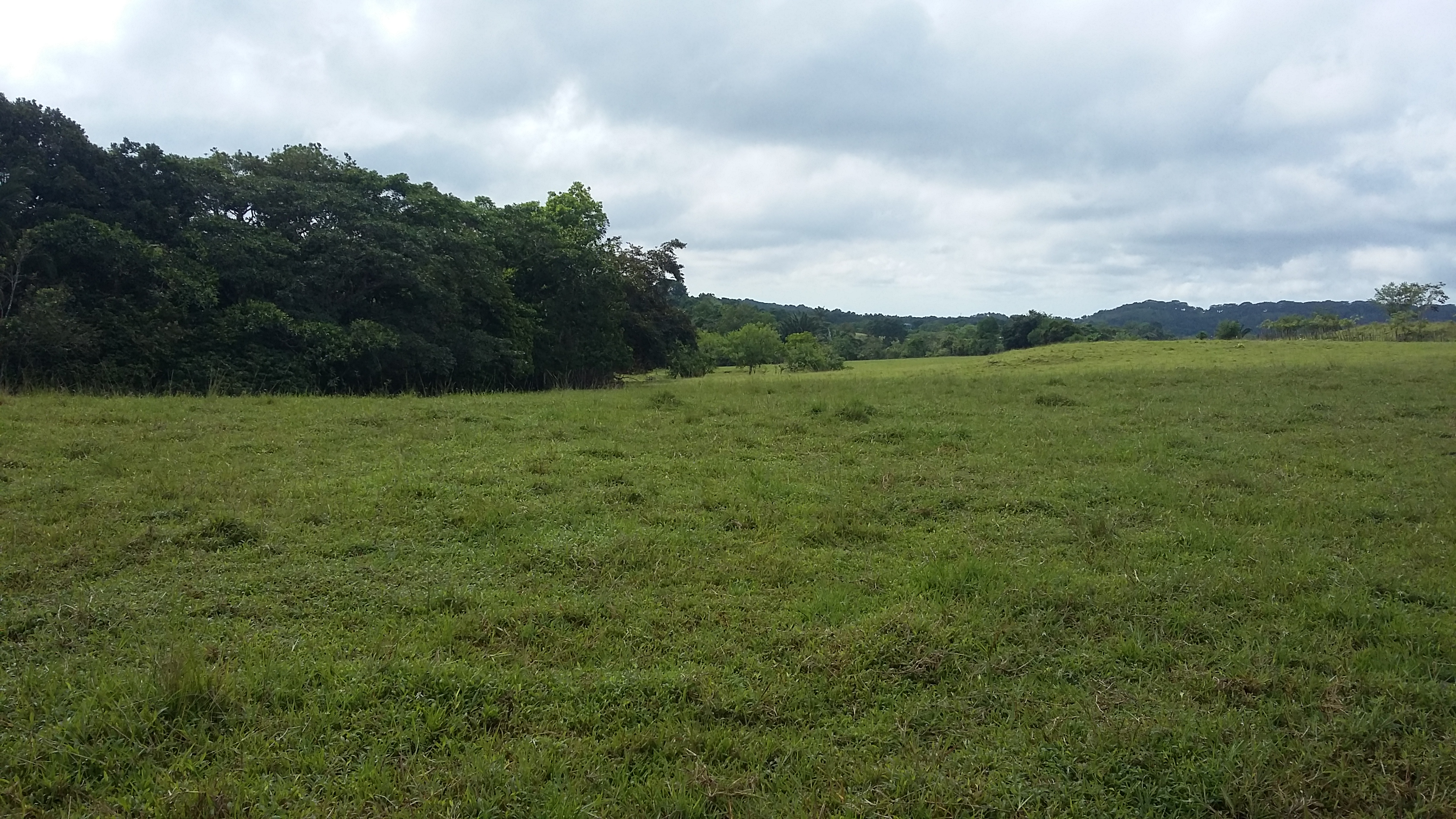 Finca en El Lirio