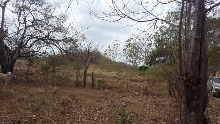 Llano Lago-La Chorrera