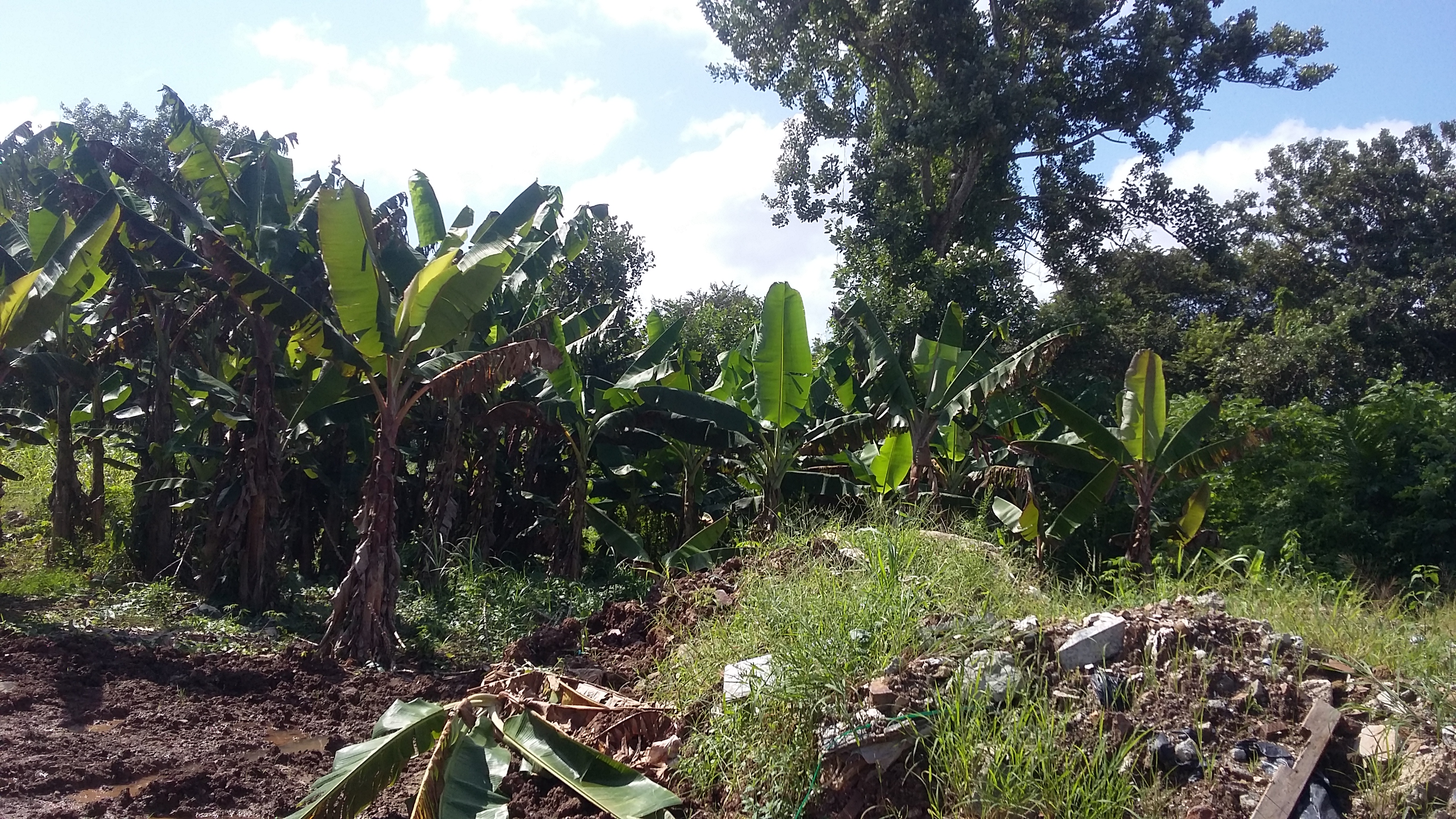 Vendo finca en Nvo. Arraiján