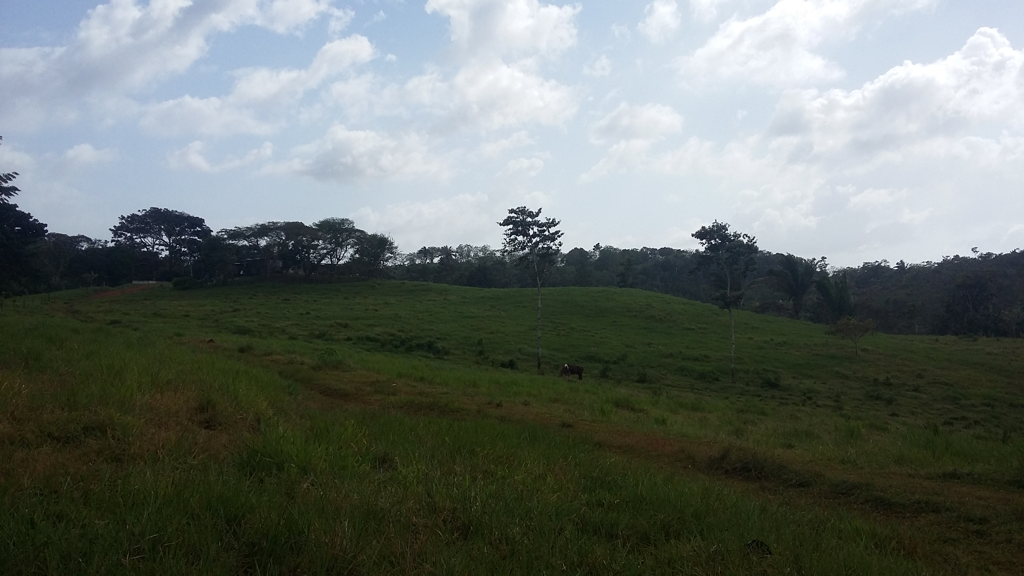 VEndo finca en La Chorrea