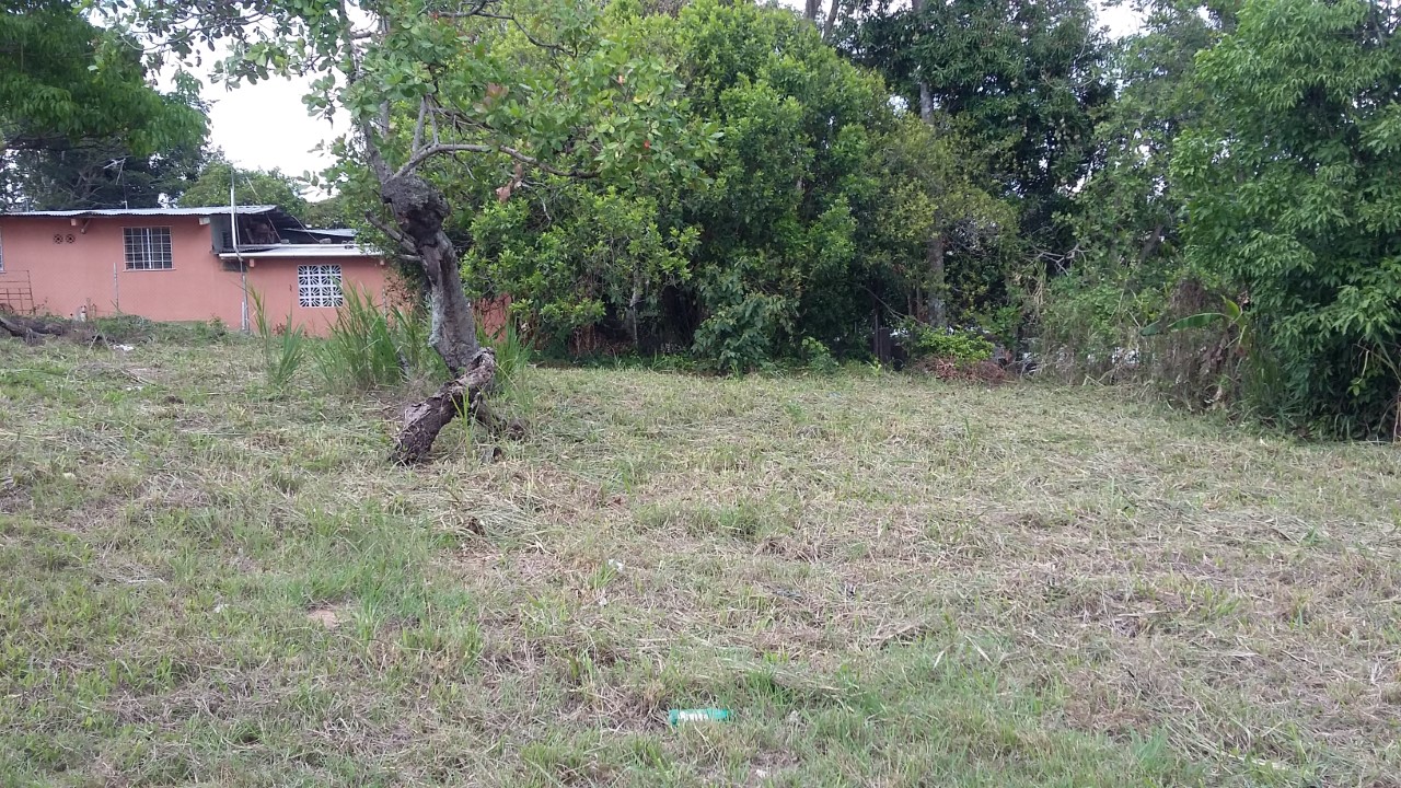 Vendo lote en la Chorrera