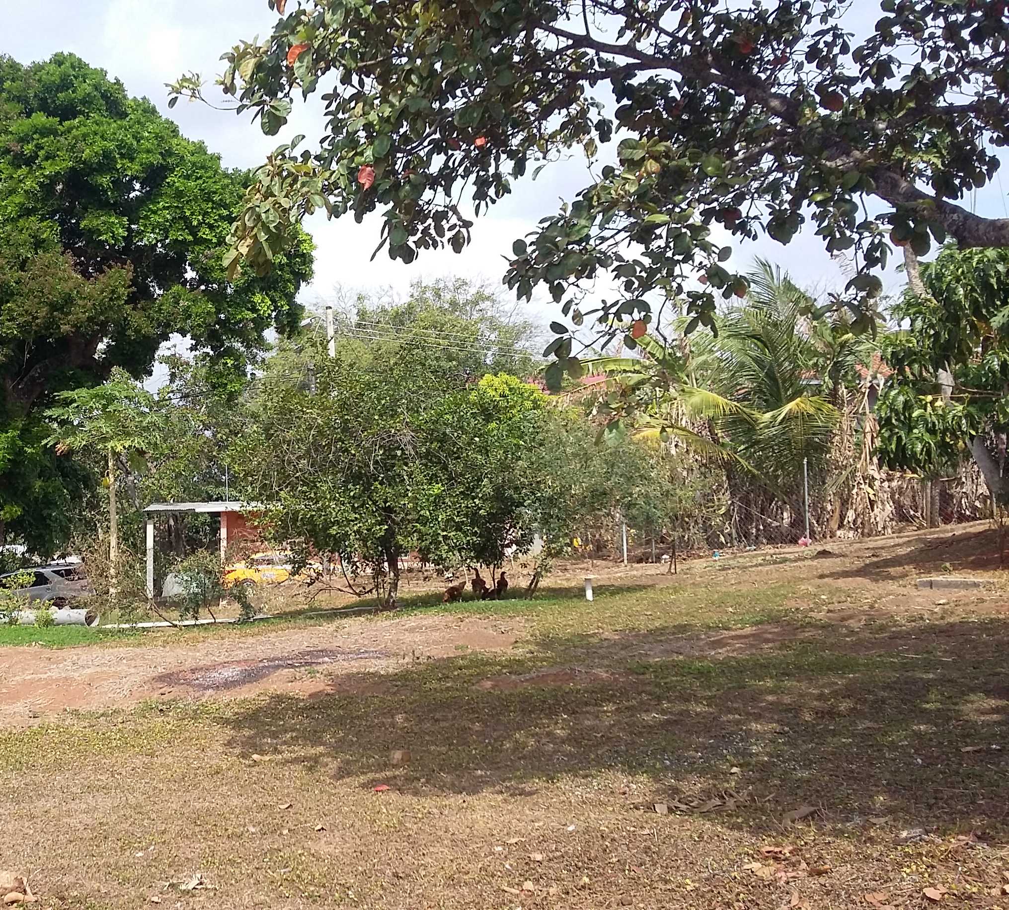 Se vende lote en La Chorrera