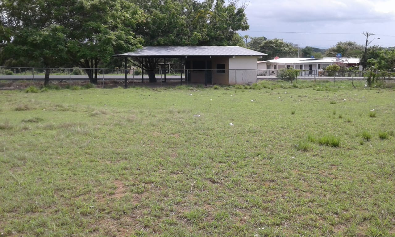 Se vende finca en Pedasí