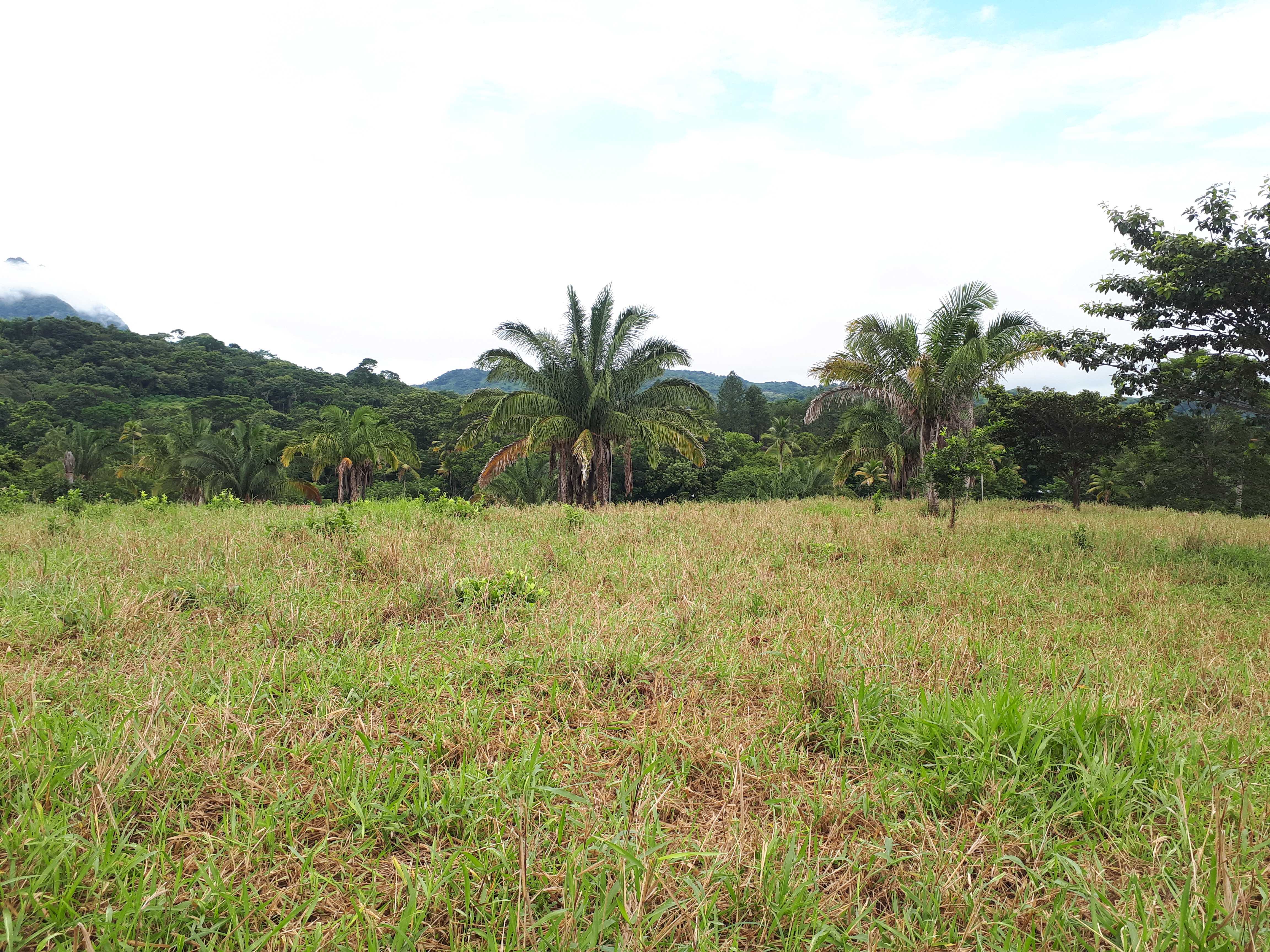 Finca en Lídice, Capira