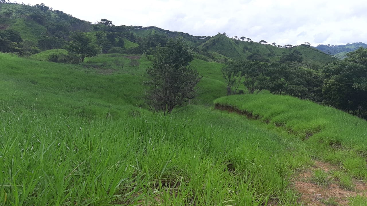 Finca Tortí de Chepo