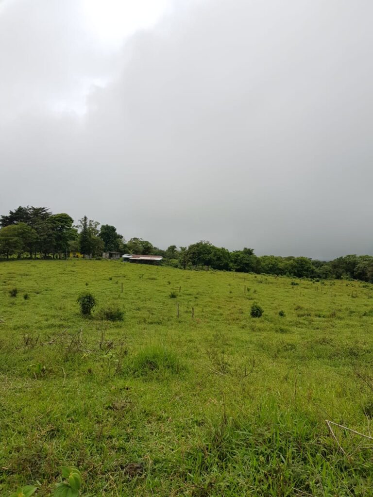 Se vende finca en Volcán(cordillera)-Chiriquí-68 has