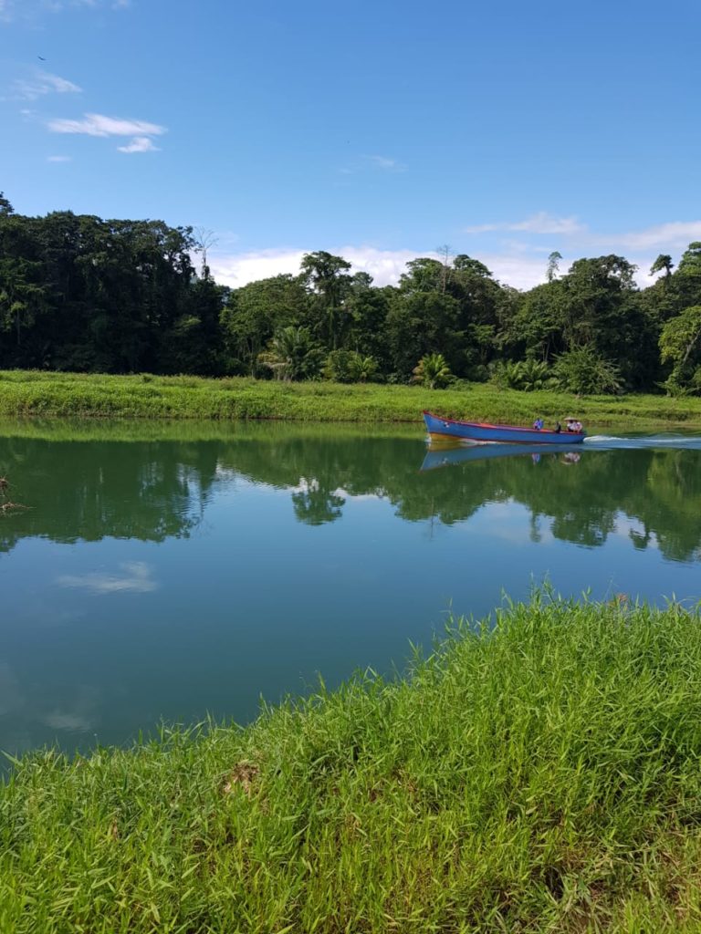 Vendo finca en Rambala-Chiriquí Grande-1,030 has