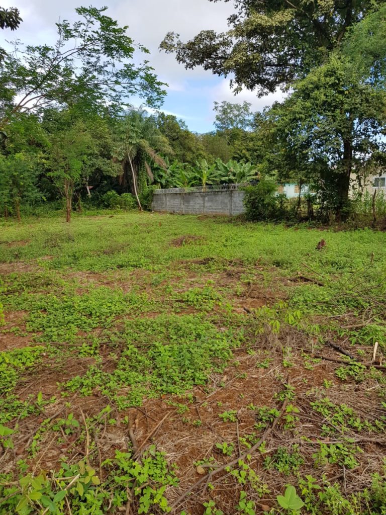 Vendo terreno en David-Chiriquí / 1,100 m2