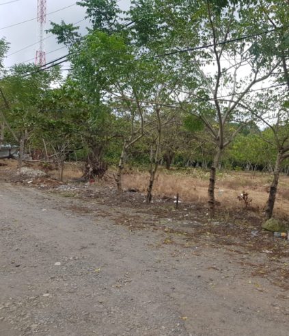 Vendo terrenos en Chorcha y Portón-Chiriquí