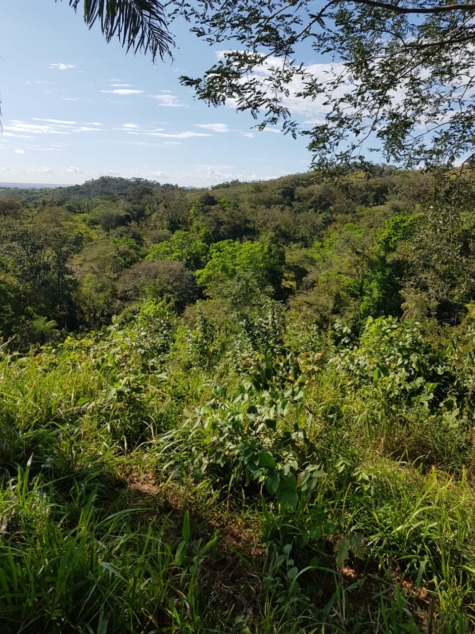 Veladero de Gualaca