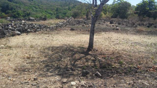 Boquete-Chiriquí