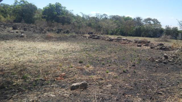 Alto Boquete-Sector La Tranca