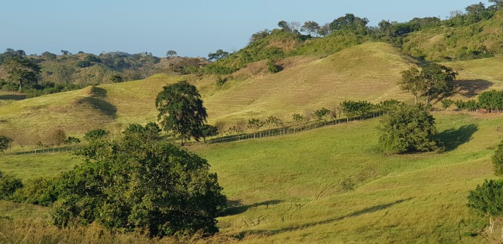 Vendo Finca en El Carate de Las Tablas-Los Santos / 75 has