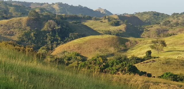 finca en Los Santos-Panamá