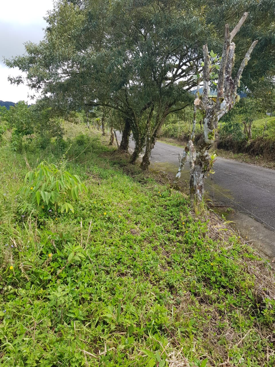 Cordillera-Volcán-Chirquí