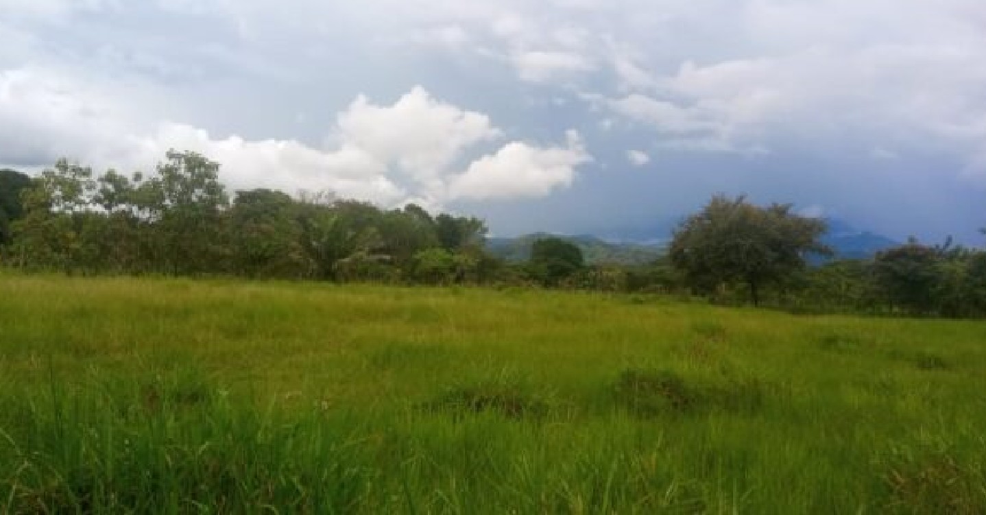 Vendo finca en Cerrillos Chiriquí