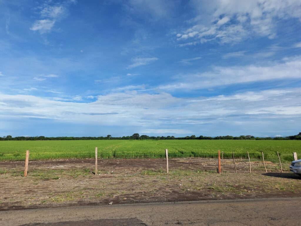 Se vende finca en Querévalo-Alanje-Chiriquí/ 57 has