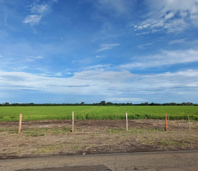 Fincas en Querévalo-Chiriquí