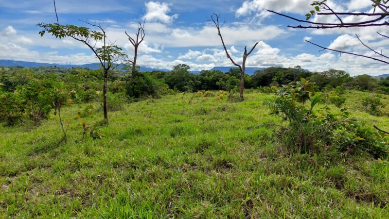 Fincas en Cochea-Chiriquí