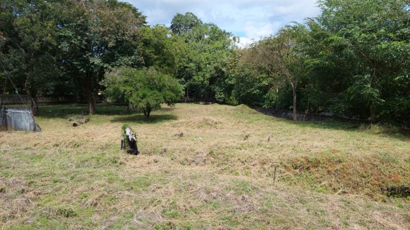 Lotes en David, Chiriquí