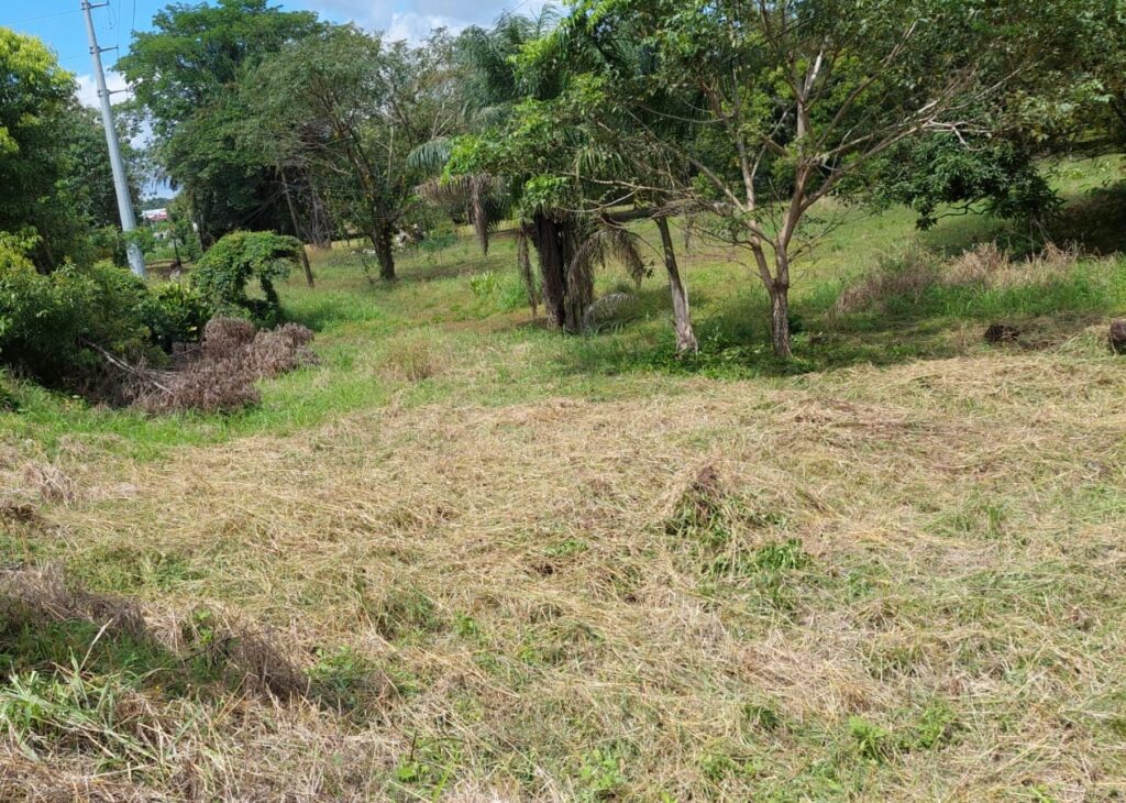 Se vende Terreno en Valbuena, David-Chiriquí / 3,500 m2