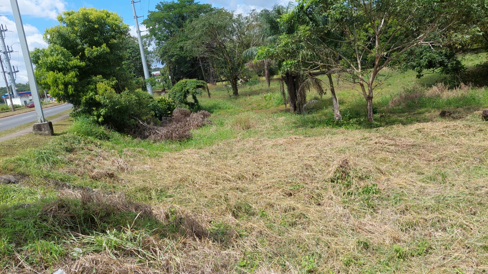 Terreno en Valbuena, David