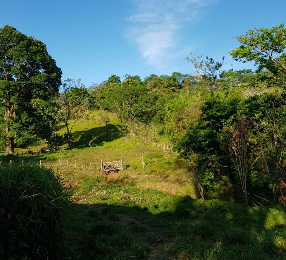 Chorcha de San Lorenzo