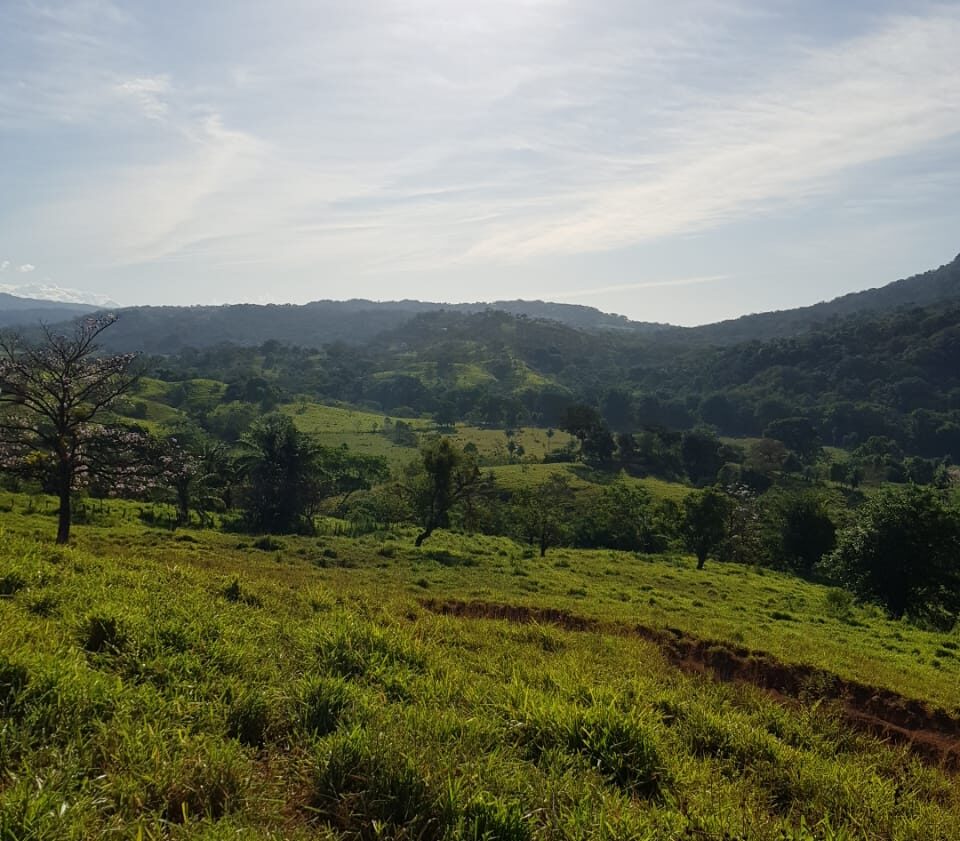 Fincas en Chiriquí