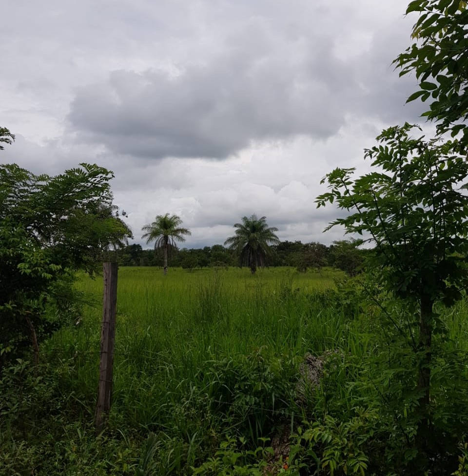 Finca en Chiriquí