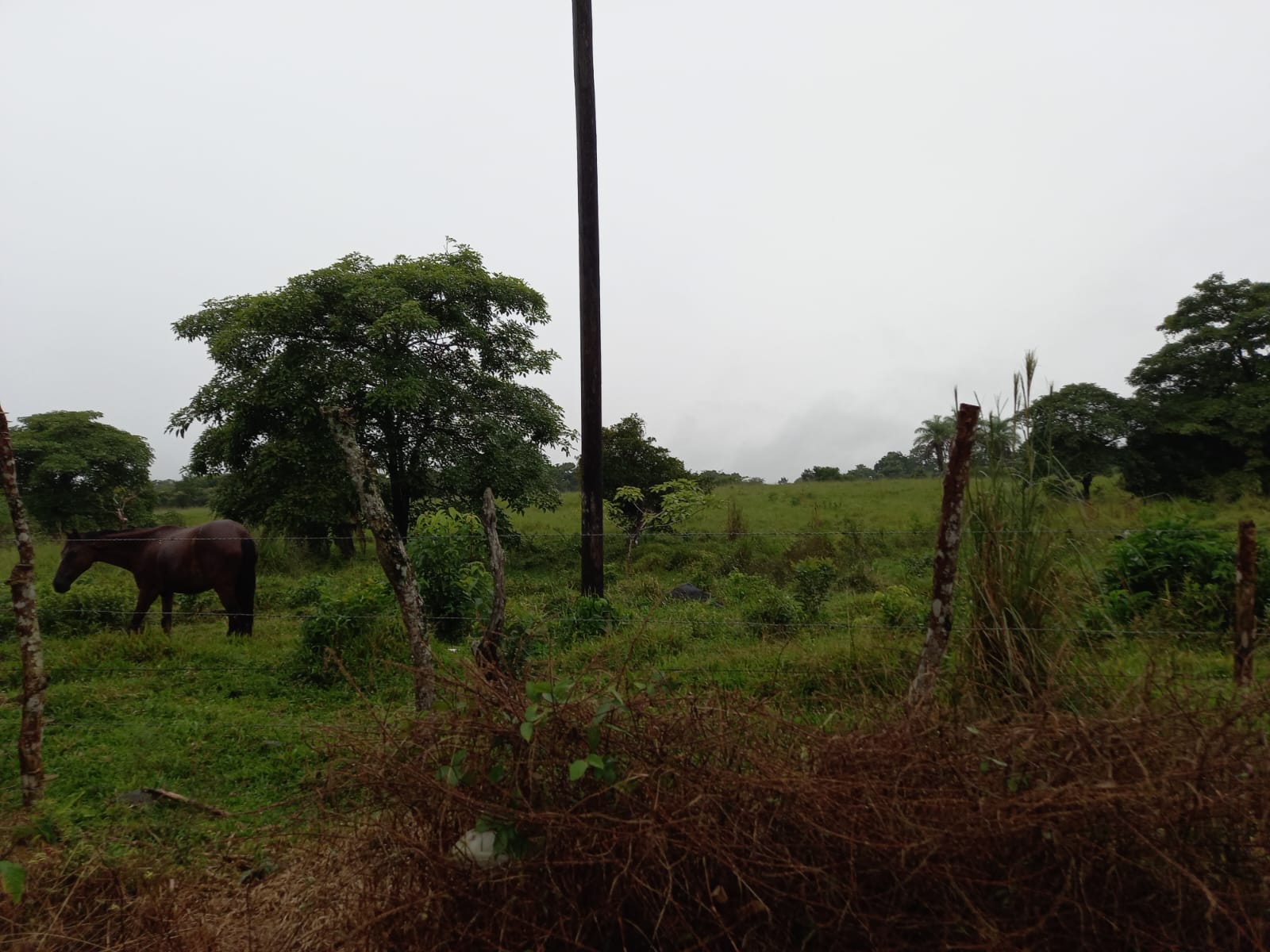 Fincas en Chiriquí