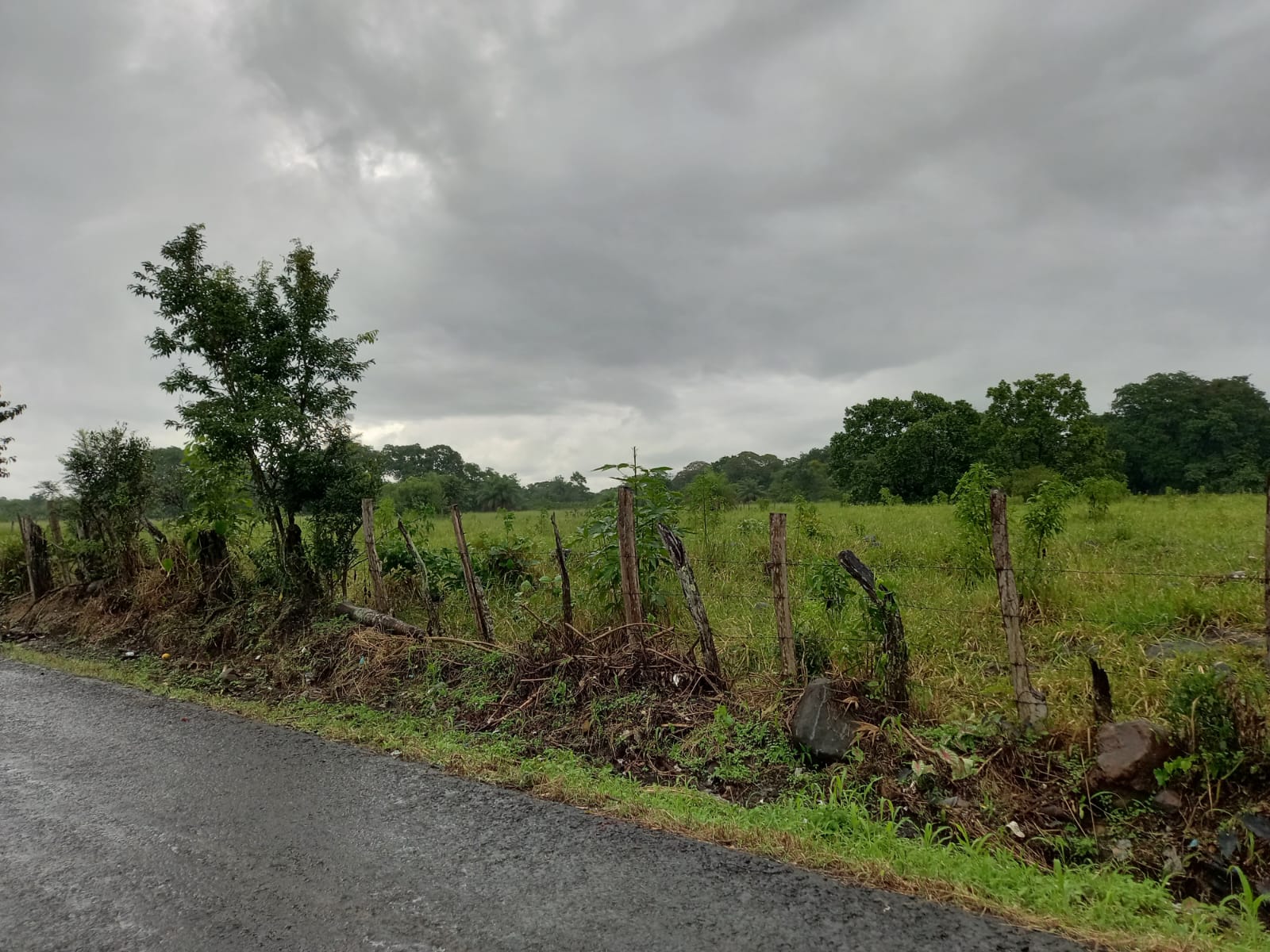 Sabana Bonita-Chiriquí