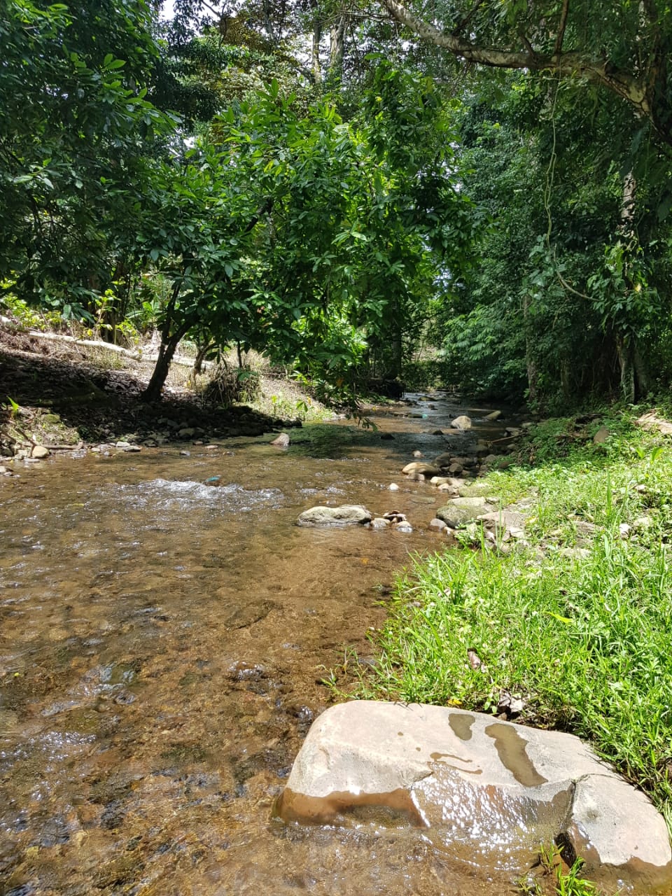 Manchuila,Chiriquí