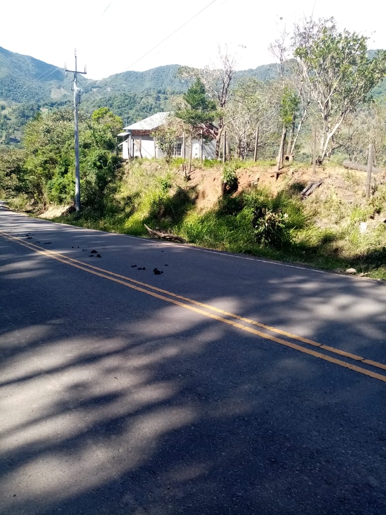 Caballa de Bella Vista de Gualaca