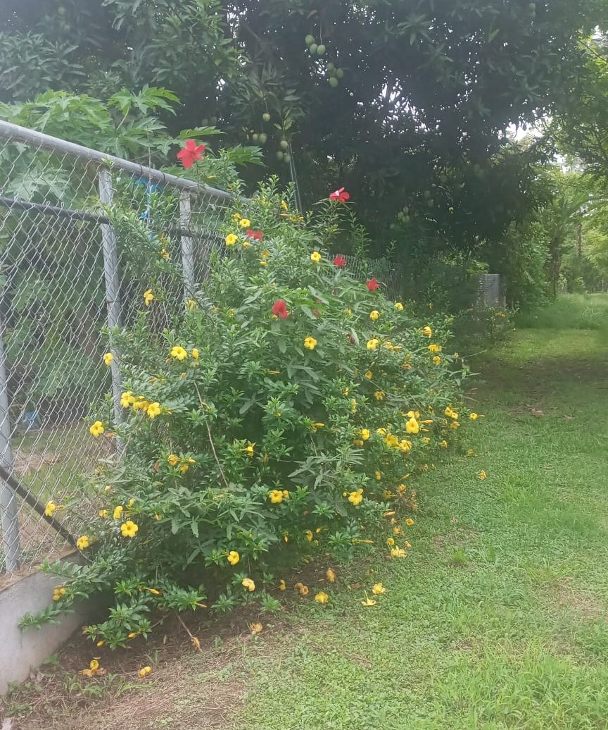 Casa en Querévalo-Chiriquí