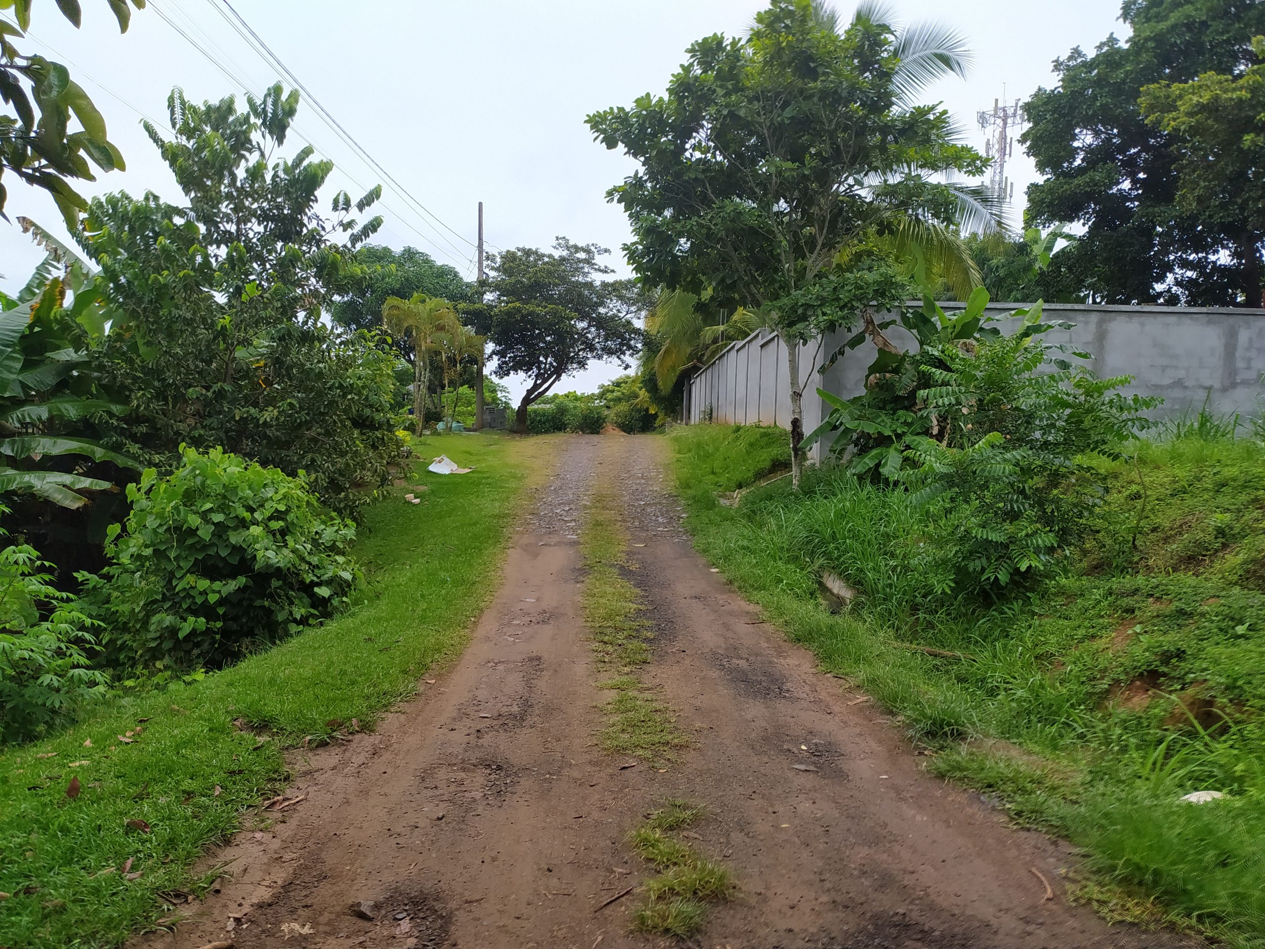 Lotes en La Chorrera