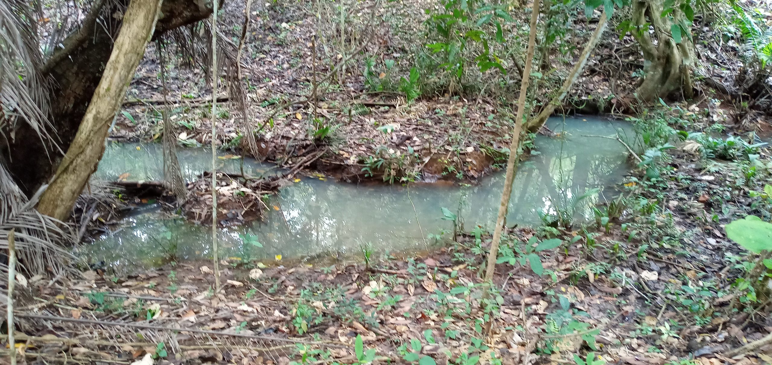 Finca en La Chorrera